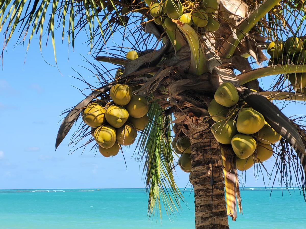 Sun Paradise - Ipioca Maceió Kültér fotó